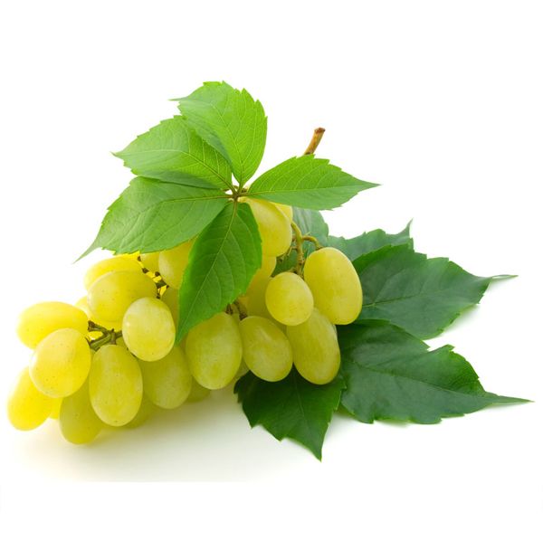 Amazon.com: Zazzee High Strength Grape Seed 50:1 Extract